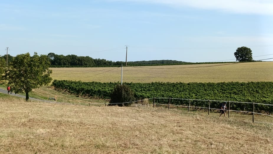 diapo_cordes_Gaillac_06.jpg