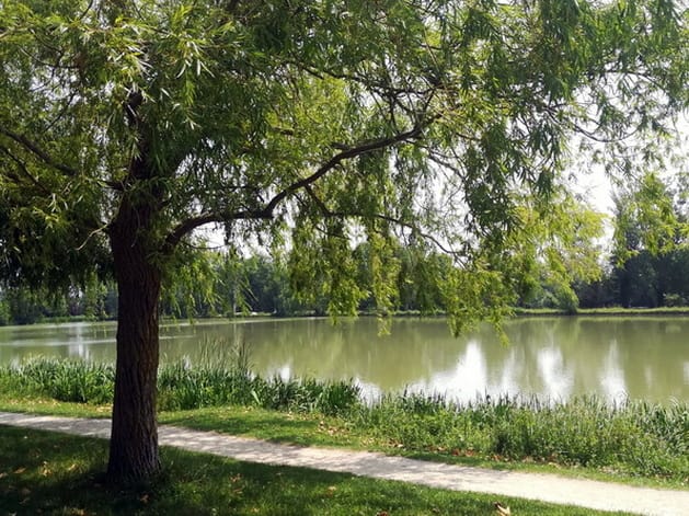 diapo_gaillac_rabastens_06.jpg