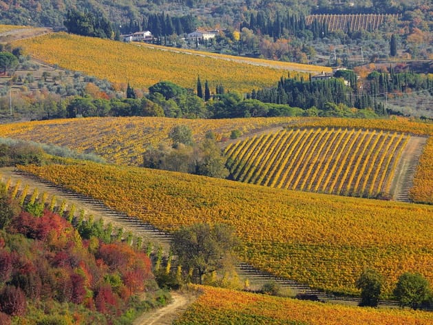 diapo_gaillac_rabastens_11.jpg