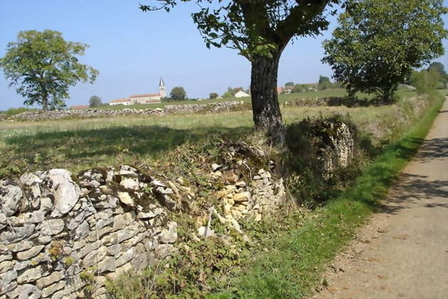 diapo_laramiere_varaire_04.jpg