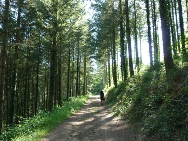 diapo_najac_cordes_06.jpg