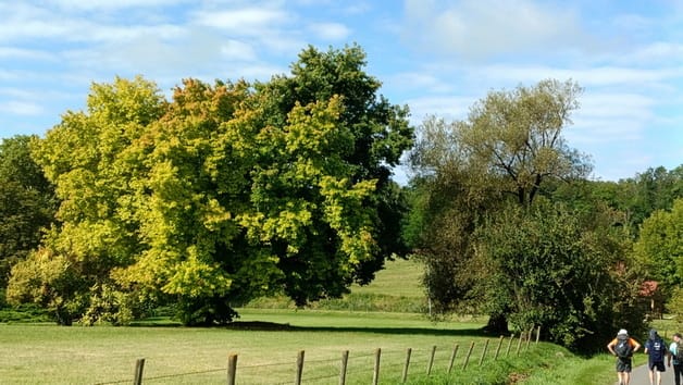 diapo_peyrusse_villeneuve_07.jpg