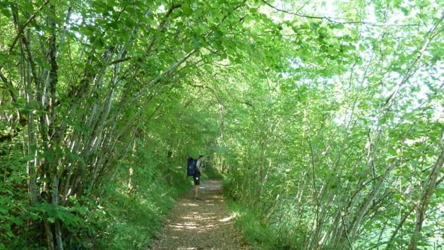 diapo_peyrusse_villeneuve_08.jpg