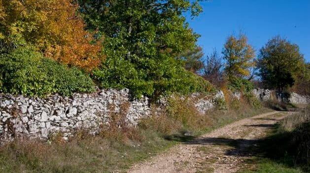 diapo_villefranche_laramiere_04.jpg