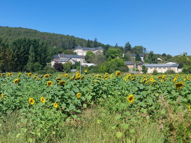 diapo_villefranche_najac_02.jpg